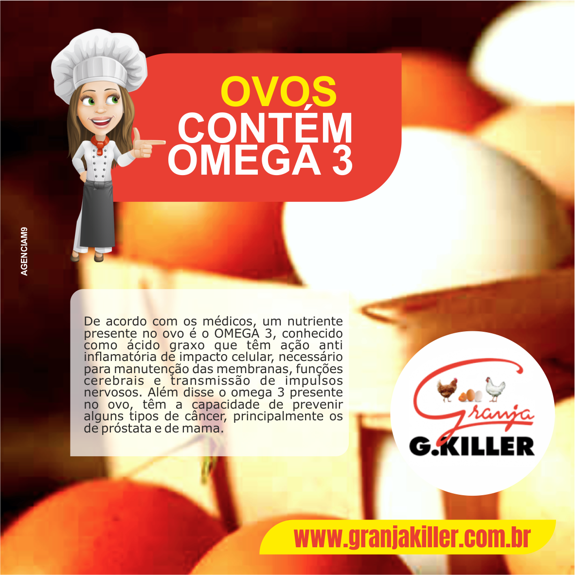 Ovos Contém Omega 3
