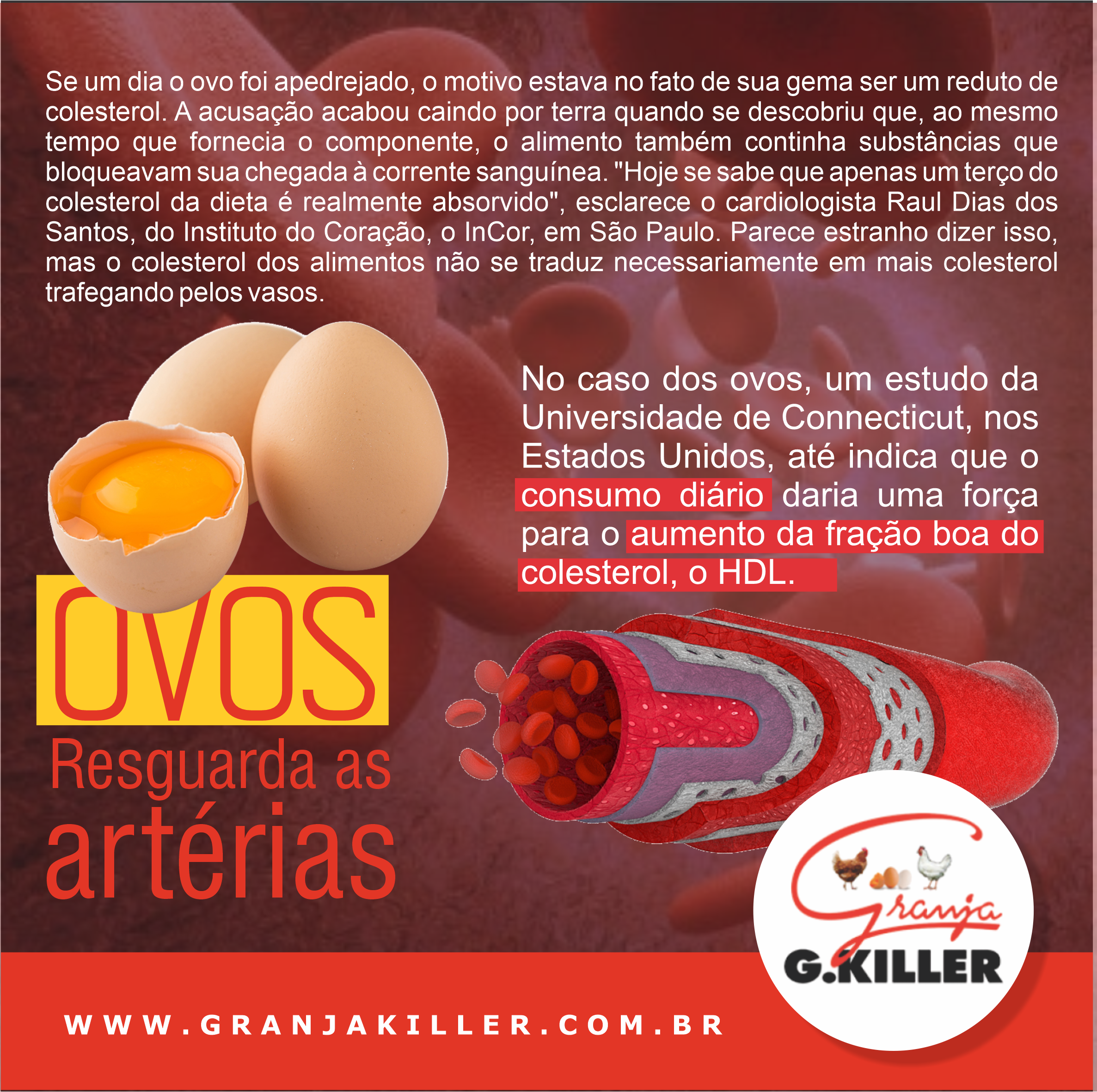 Ovos Resguarda as artérias