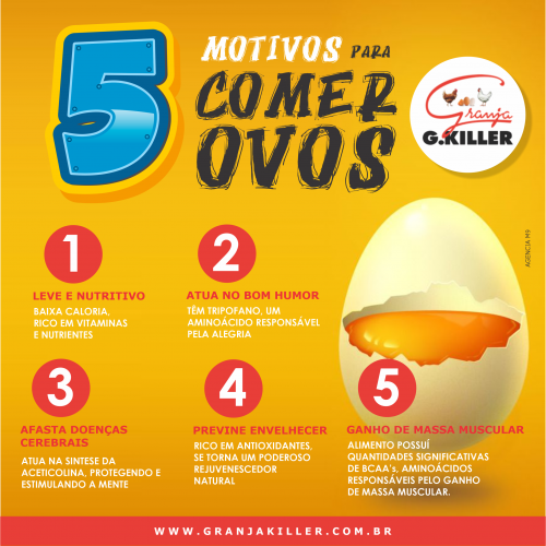 5 Motivos para Comer Ovos