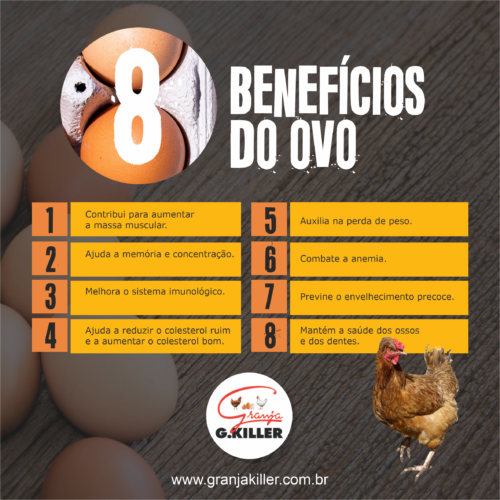 8 Benefícios do Ovo