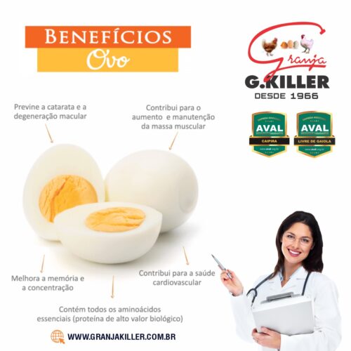 Benefícios do Ovo para Saúde